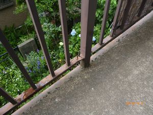 P1010262.jpg